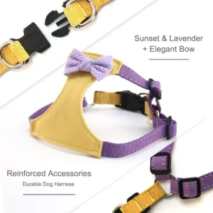 Small Dog Harness with Leash and Bow Tie Cute Breathable Puppy Harness for Girl Boy Dogs No Pull No Choke Escape Proof Pet Harn